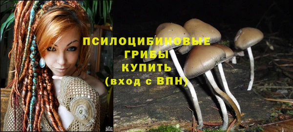 мескалин Бронницы